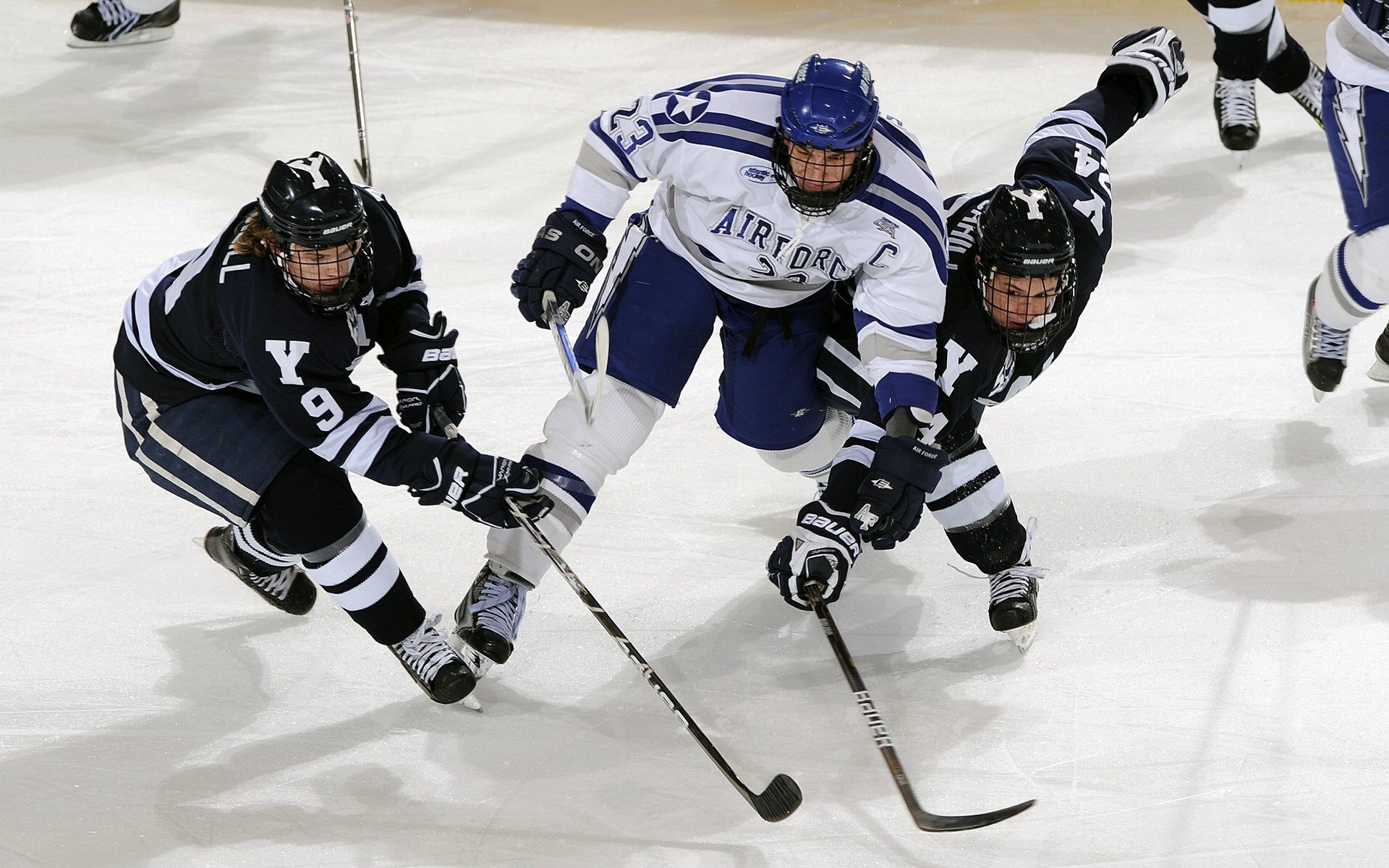 波兰队未来发展：通过选手轮换与策略调整增强战术灵活性，波兰队实力如何
